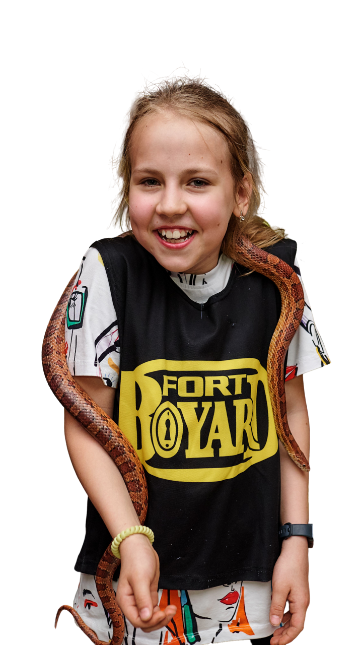 игровое шоу форт боярд